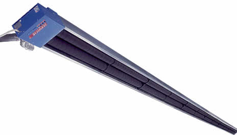 TERMSTAR 2000